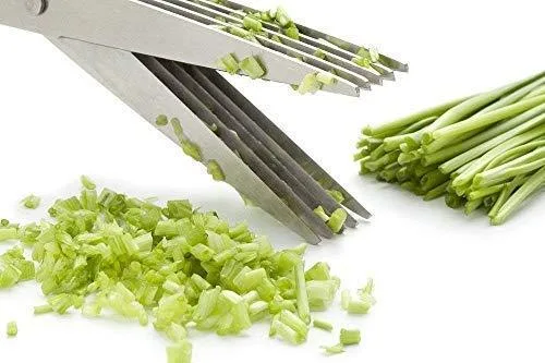 1563 Multifunction Vegetable Stainless Steel Herbs Scissor with 5 Blades - Image 2